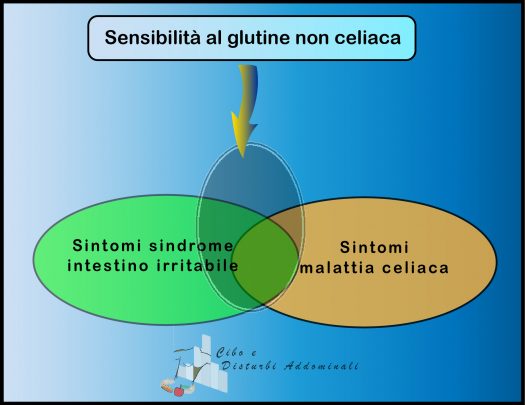 Sensibilità al glutine non celiaca: sfera dei sintomi